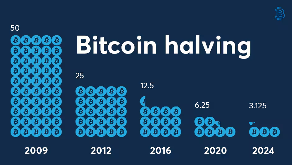 Bitcoin Halving Kapıda: 2024 Kripto Piyasa Verilerine Bir Bakış