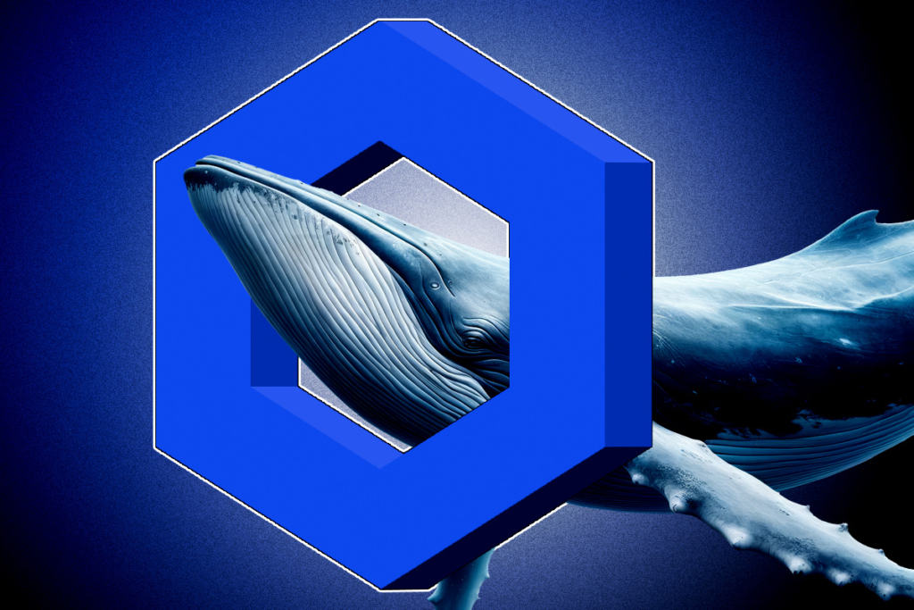 Chainlink Balina İşlemlerinde Artış Balinalar Fiyat Artışı İçin Hazırlanıyor mu