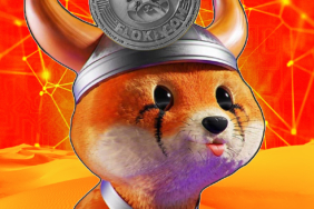 Floki-Kritik-Destek-Seviyesine-Dustu-Tarih-Tekerrur-Edecek-mi