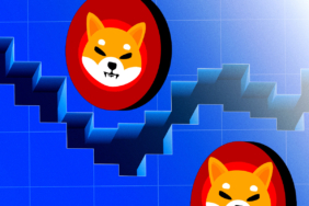 Shiba-Inu-16-Aylik-Dipte-Bu-Mukemmel-Alim-Bolgesi-Olabilir-mi