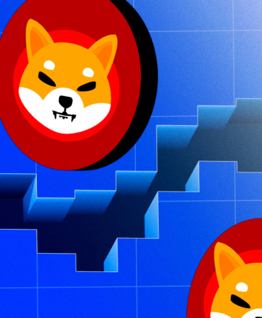 Shiba-Inu-16-Aylik-Dipte-Bu-Mukemmel-Alim-Bolgesi-Olabilir-mi