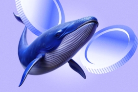 XRP-Balinalara-Ragmen-Dusuyor-Daha-Fazla-Zarar-Yaklasiyor-Olabilir-mi