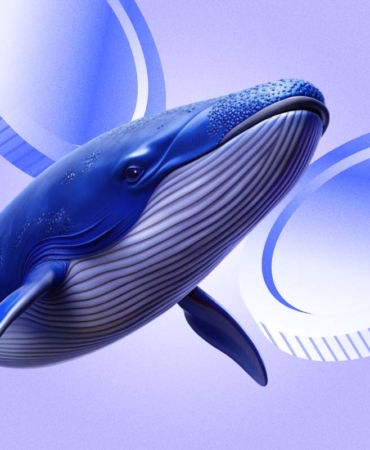 XRP-Balinalara-Ragmen-Dusuyor-Daha-Fazla-Zarar-Yaklasiyor-Olabilir-mi