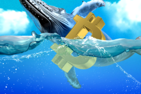 Bitcoin Fiyatında Yükseliş Devam Ediyor