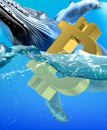 Bitcoin Fiyatında Yükseliş Devam Ediyor