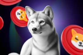 Shiba Inu Fiyatında Kritik Seviyeler: Destek Kırılırsa Ne Olur?