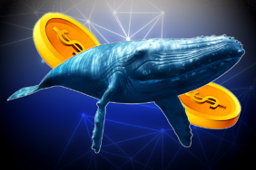 Dogecoin 2025’te Yükselişe Geçiyor: Hedef 1 Dolar!