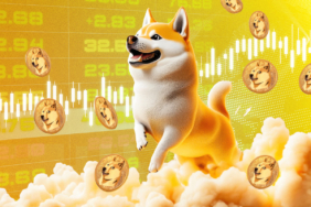 DOGE Düşüyor: Bitcoin Yükselirken O Neden Düştü?