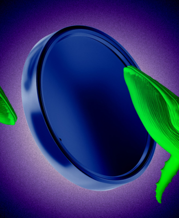 Kripto Balinası James Wynn Yine Tasfiye Oldu!