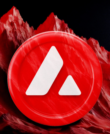 AVAX Fiyatı Yükselirken Sosyal İlgi Neden Azalıyor?