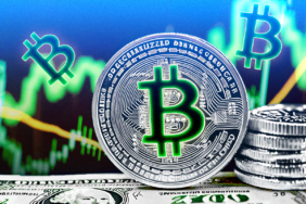 Bitcoin Fiyatı Balinanın Hareketiyle Düştü!