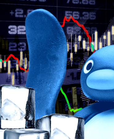 Pudgy Penguins Artan İşlem Hacmiyle Göz Kamaştırıyor!