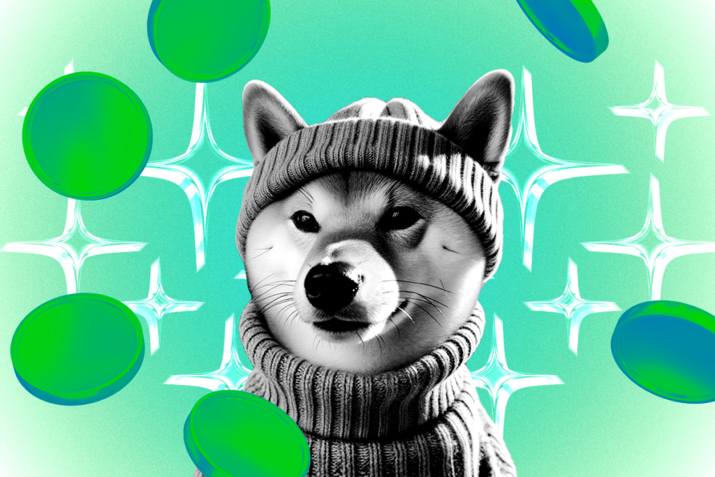 Dogwifhat Fiyatı- Tüm Zamanların Zirvesi?