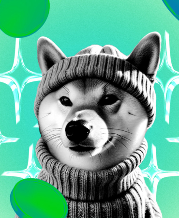 Dogwifhat Fiyatı- Tüm Zamanların Zirvesi?