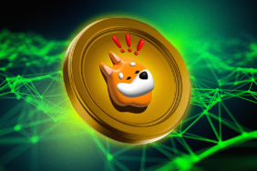 BONK Token Aşırı Alımda, Yatırımcılar Token Toplamaya Devam Ediyor!