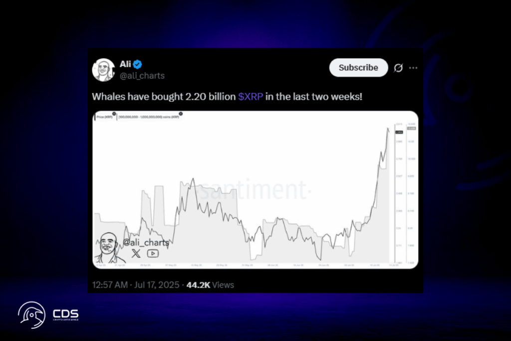 6,6 Milyar Dolarlık Alım Çılgınlığıyla Balinalar XRP Rallisini Besliyor: Yeni ATH Yaklaşıyor mu? 1 6,6 Milyar Dolarlık Alım Çılgınlığıyla Balinalar XRP Rallisini Besliyor: Yeni ATH Yaklaşıyor mu? - Balinalar XRP Rallisini Besliyor Analistler Daha Fazla Kazanc Ongoruyor