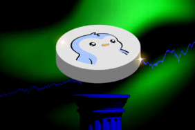 PENGU Uçuşta! Fiyatlar Bir Anda Patladı!