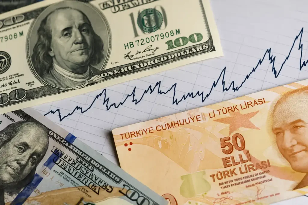 Dalgalı Kur Nedir