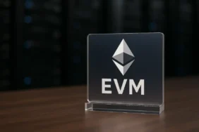Ethereum Sanal Makinesi (EVM)