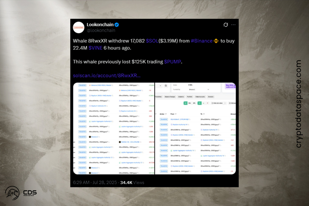 Musk'ın AI Destekli Vine İmasından Sonra VINE Token İvme Kazandı 1 Meme Coin Lanetini Kıran VINE, Zincir Üzerindeki Patlayıcı Büyümesiyle Dikkat Çekiyor