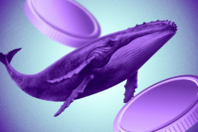 Musk'ın AI Destekli Vine İmasından Sonra VINE Token İvme Kazandı