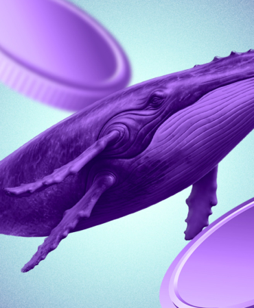 Musk'ın AI Destekli Vine İmasından Sonra VINE Token İvme Kazandı