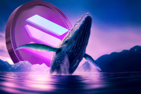 Solana Rallisi Reddedildi Balinalar Daha Derin Bir Düzeltmeye Hazırlanıyor mu