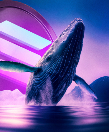 Solana Rallisi Reddedildi Balinalar Daha Derin Bir Düzeltmeye Hazırlanıyor mu