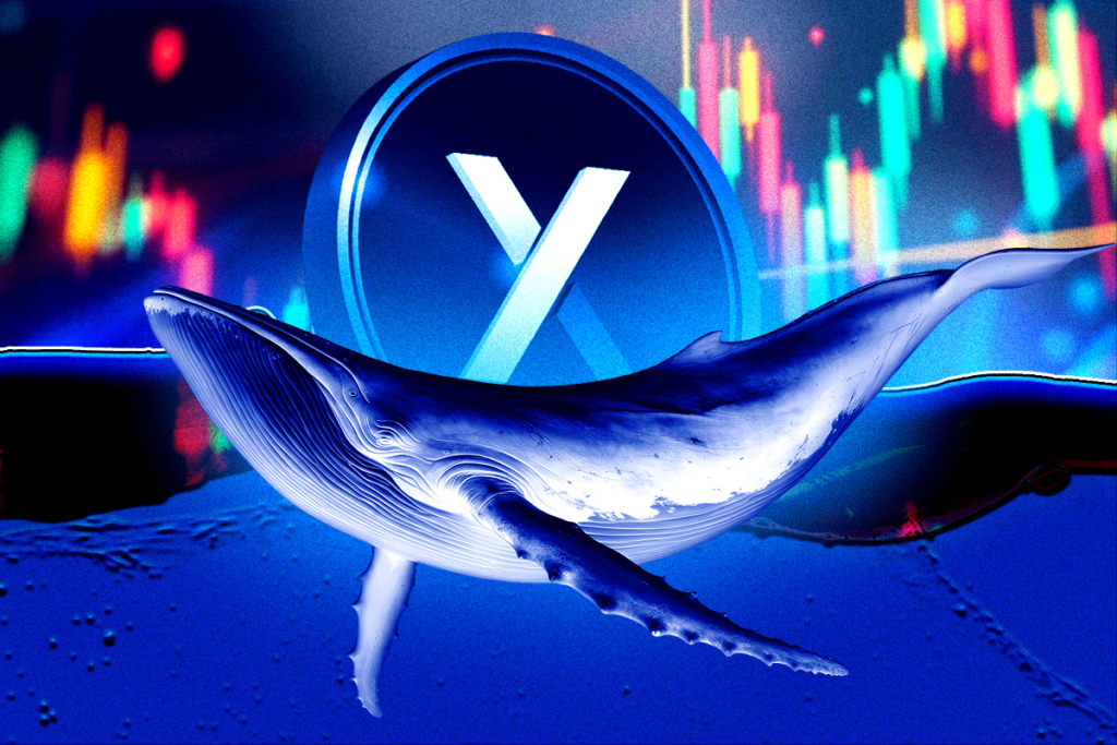 XRP Balinaları Rekor Birikim Yapıyor Bu Önemli Bir Boğa Sinyali mi