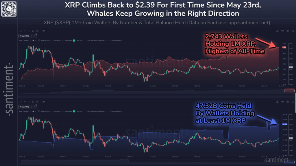 XRP Fiyatı Uçuşta: Balinalar ve Yeni Yatırımcılar Güç Birliği Yaptı