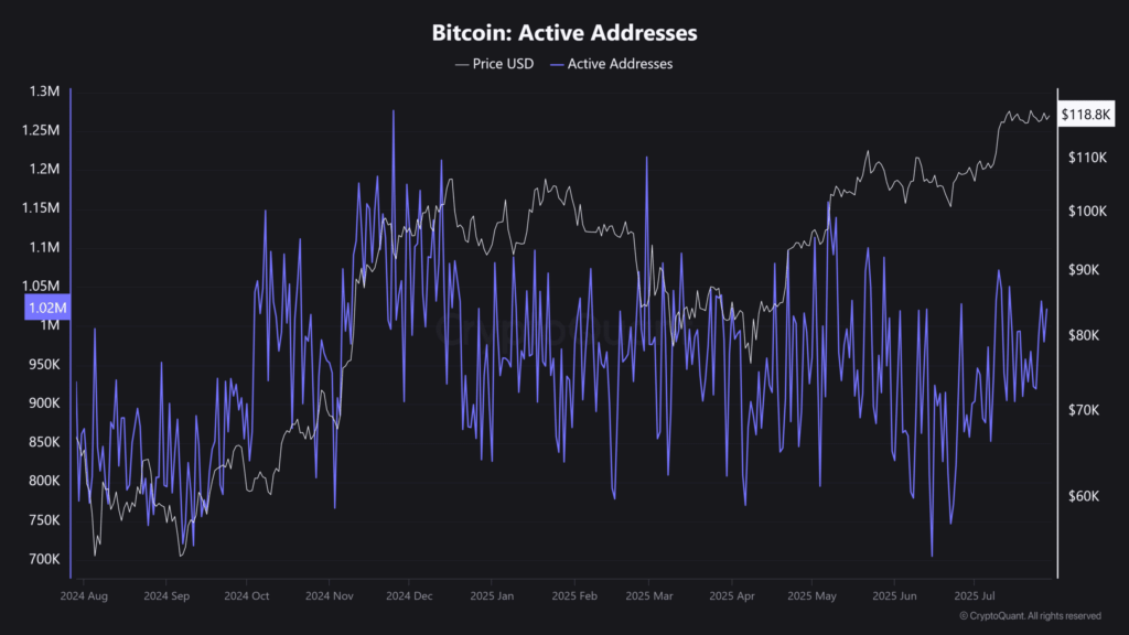 Bitcoin Yatırımcıları Alarmda: Kârda Olan Herkes Satışa Hazır mı? 8 Bitcoin Yatırımcıları Alarmda: Kârda Olan Herkes Satışa Hazır mı?