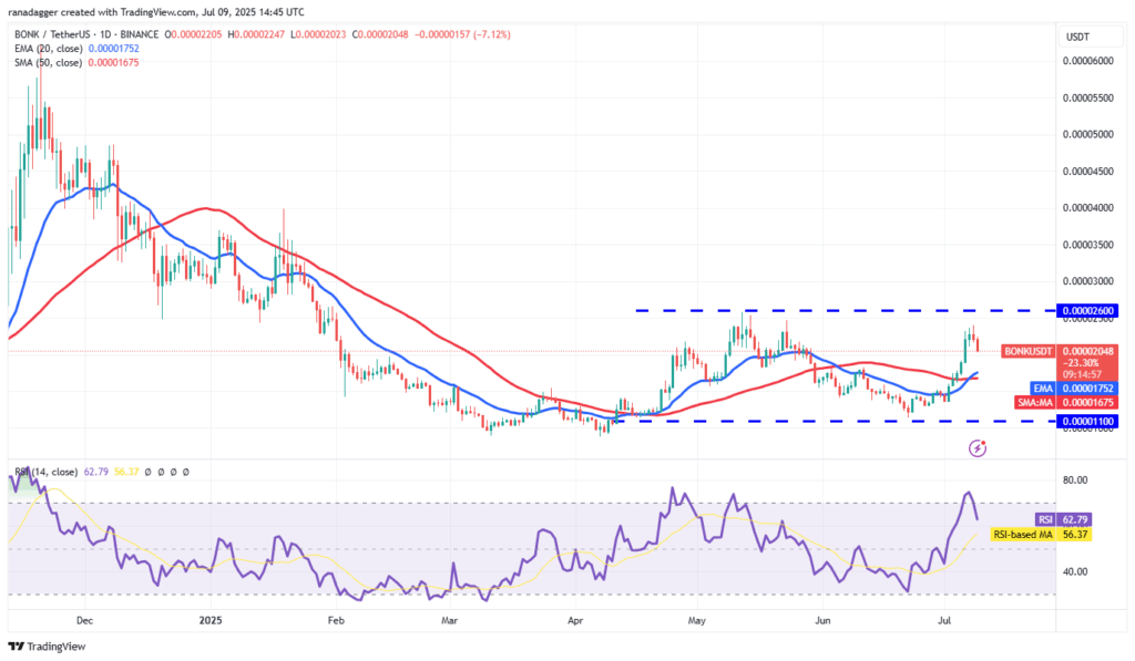 BONK Token Yükselişte