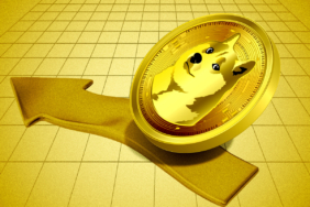 Dogecoin Balinaları Alım Yapıyor, Satış Baskısı Azalıyor