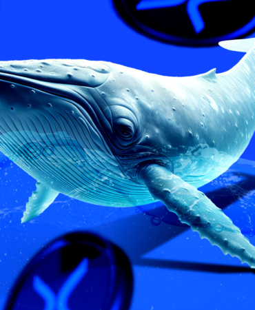 XRP Yatırımcıları Dikkat: Bu Teknik Sinyal Daha Fazla Düşüşe İşaret Ediyor