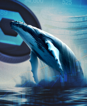 Chainlink Çökerken Balinaları Neden Bu Kadar Sakin? İşte Şaşırtıcı Gerçek!