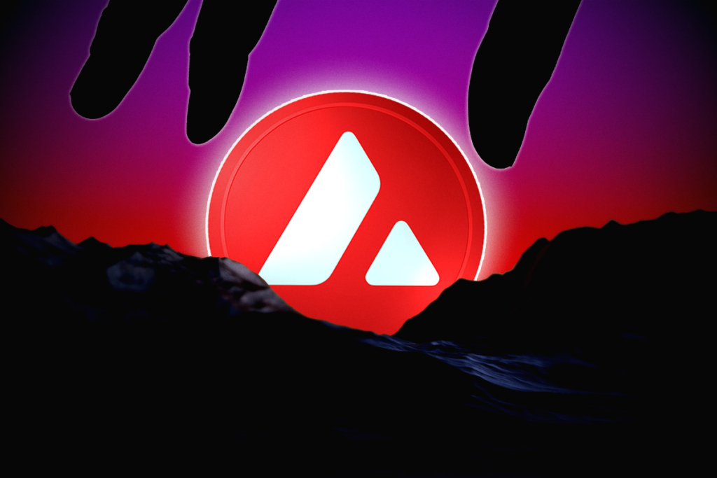 Avalanche ve Funtico, Yeni Nesil Oyun Geliştiricilerini Destekliyor