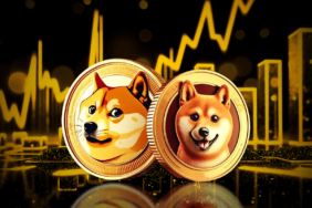 Ağustos 2025’te Takip Edilmesi Gereken 10 Popüler Memecoin