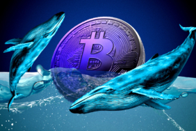 Bitcoin Fiyat Analizi: Nötr Piyasada Düşüş Sinyalleri