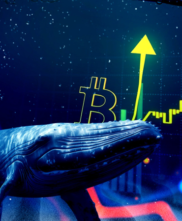 Bitcoin Fiyatı Düşerken Balinalar 172 Milyon Dolarlık Dev Alım Yaptı!