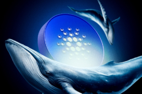 Cardano Uçuşa Geçti: Balinalar 100 Milyon ADA Topladı!