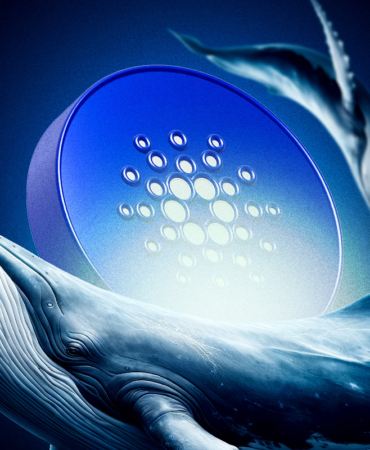 Cardano Uçuşa Geçti: Balinalar 100 Milyon ADA Topladı!