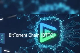 BitTorrent Chain (BTTC)