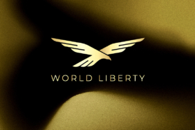 Büyük Paralar ve Daha Büyük İsimler WLFI Halka Arzı Hedefliyor