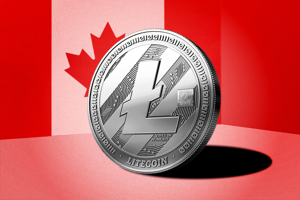 Cesur Hazine Stratejisi Luxxfolio Litecoin Devrimine Öncülük Ediyor