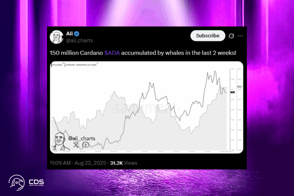 Kripto Balinaları Sessizce Cardano Biriktiriyor: Fiyat Patlaması mı Yaklaşıyor?