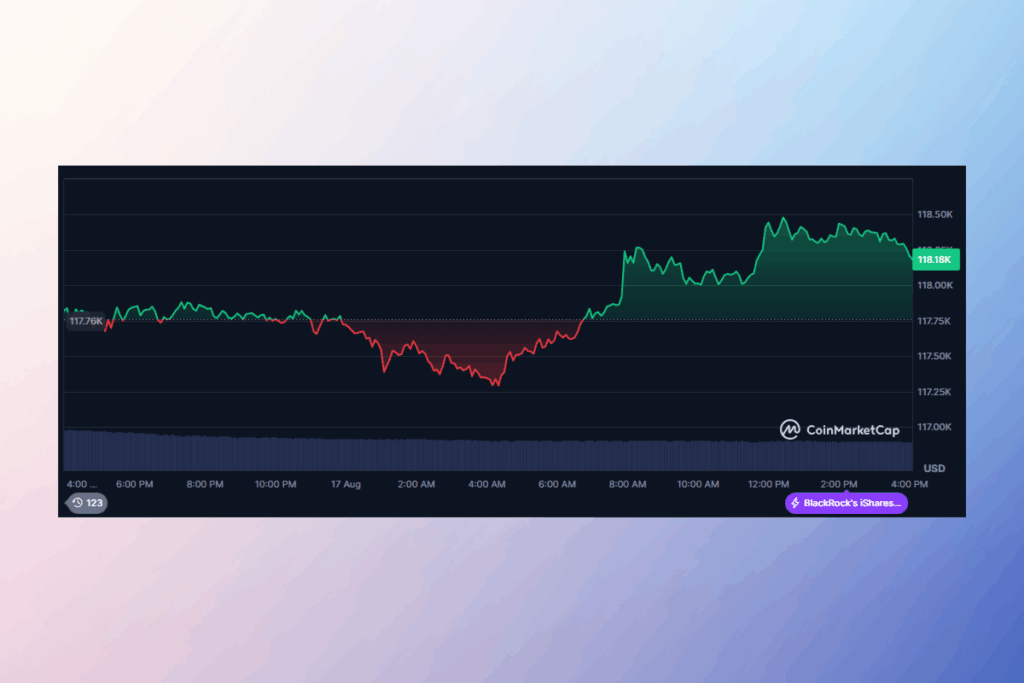 Ralli Henüz Bitmedi: McClurg Bitcoin Patlaması Öngörüyor
