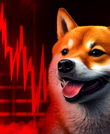 SHIB Çöküşte Kripto Piyasasındaki Düşüşle Birlikte Ayı Sinyalleri Güçleniyor!