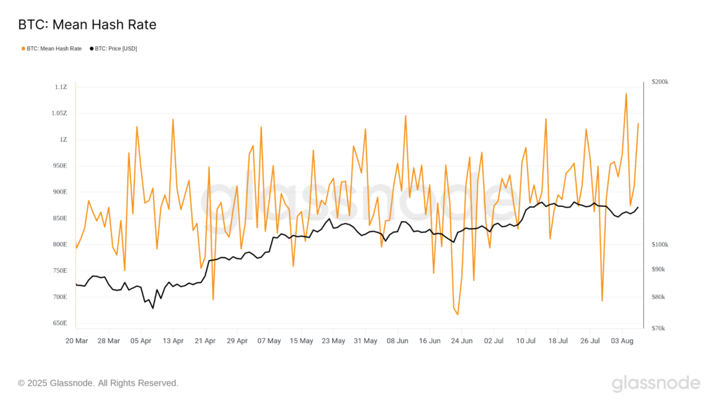 Bitcoin Yatırımcıları Dikkat: Büyük Sır Açığa Çıktı!
