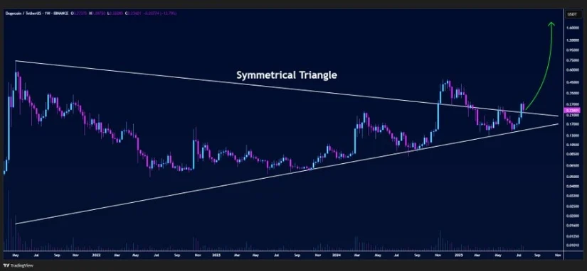 Dogecoin Balinaları İş Başında: Kripto Piyasasında Neler Oluyor?