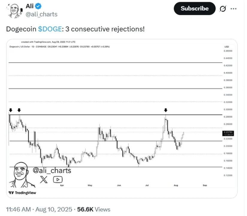 Dogecoin Balinaları İş Başında: Kripto Piyasasında Neler Oluyor?